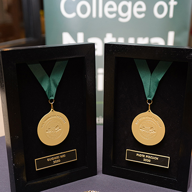 Two gold medals stand in display cases with a third medal resting on a table between them. The cases are labeled “Guowei Wei” and “Piotr Piecuch.”