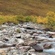 This stream in the Brooks Range of Arctic Alaska is one of many sites where Jay Zarnetske works to help understand water resources. Data and discoveries from this stream, like countless other studies around the world, are archived and made accessible to all via open-access resources supported by CUAHSI. 